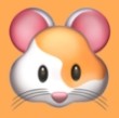 91网站免费版APP应用